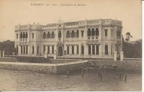 PC38782 Tamaris sur Mer. Labor für Biologie. Fototypisch. B. Hopkins