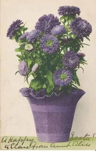 PC38932 alte Postkarte. Blumen. Martin Rommel. B. Hopkins