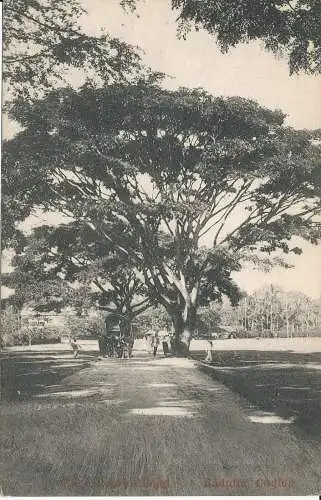 PC40015 Rennstrecke Straße. Badulla. Ceylon. Teller. B. Hopkins