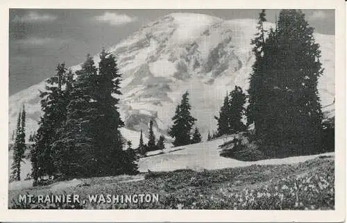 PC39733 Mt. Rainier. Washington. Adams News. Graycraft. B. Hopkins