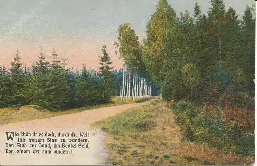 PC38923 Alte Postkarte. Wald. B. Hopkins