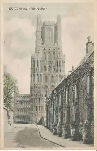 PC36236 Ely-Kathedrale aus Galerie. Stewart und Woolf. Nr. 1042. 1904