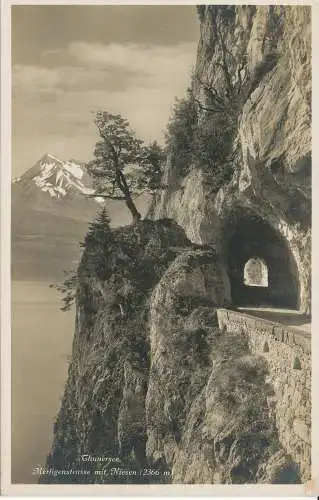 PC40067 Thunersee. Merligenstrasse mit Niesen. Photoglob. Nr. 2554. B. Hopkins