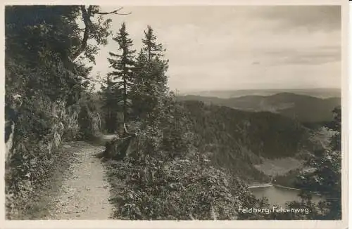 PC3993 Feldberg. Felsenweg. B. Hopkins