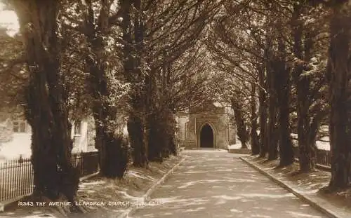 PC41706 The Avenue. Llandegai Kirche. Judges Ltd. Nr. 10343