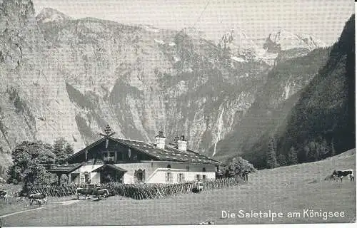 PC40163 Die Saletalpe am Königsee. J. Huttegger. Nr. 493. B. Hopkins