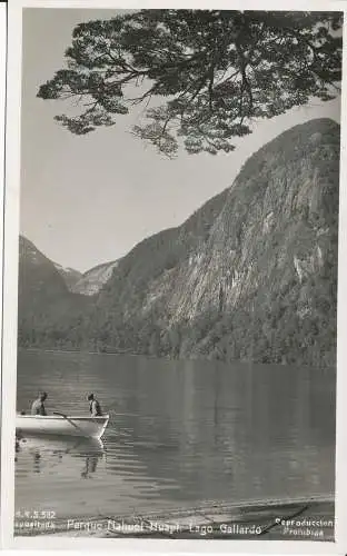 PC40792 Nahuel Huapi Park. Lago Gallardo