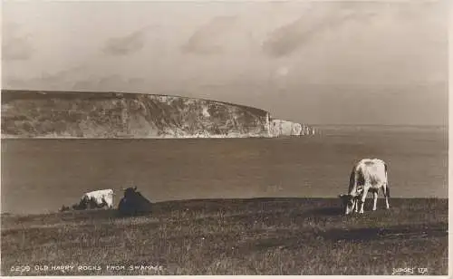 PC41722 Old Harry Rocks von Swanage. Judges Ltd. Nr. 5299