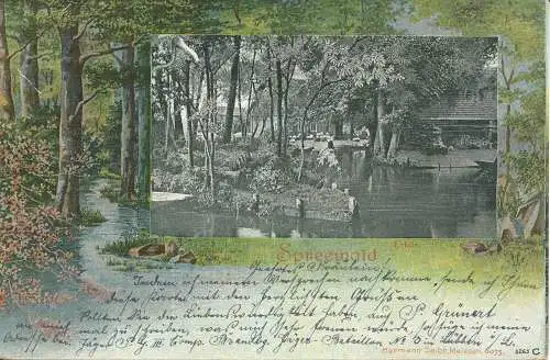 PC40638 Spreewald. Hermann Seibt. 1904. B. Hopkins