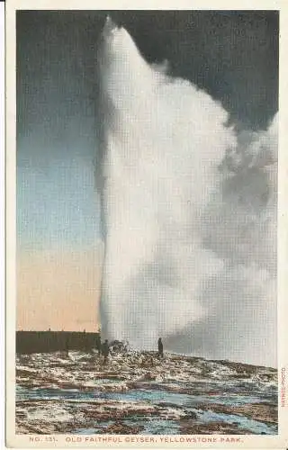 PC39244 Old Faithful Geysir. Yellowstone Park. Haynes. Nr. 131