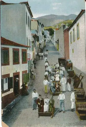 PC39429 alte Postkarte. Ein Street View. Madeira