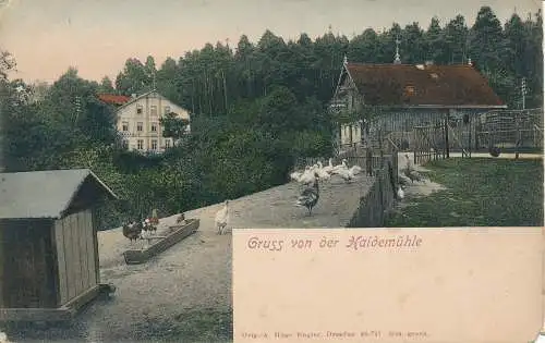 PC40972 Gruss von der Haidemuhle. Hugo Engler. B. Hopkins