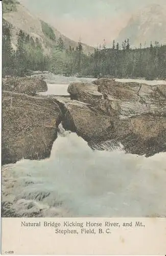 PC39514 Natürliche Brücke Kicking Horse River und Mt. Stephen. Feld. B. C. Thomson