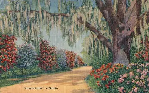 PC43709 Lovers Lane in Florida. Art Colortone. 1942