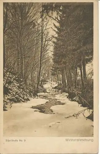 PC40951 Winterstimmung. Paul Haas. B. Hopkins