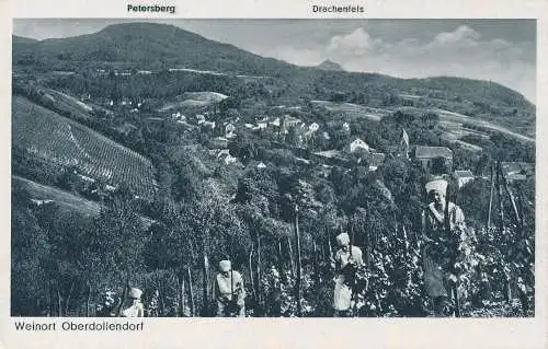 PC43869 Weinort Oberdollendorf. Vorsteher. Nr. 3909