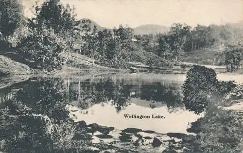 PC42453 Wellington Lake. B. Hopkins