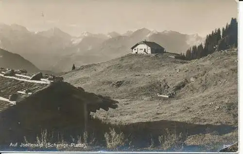 PC39485 Auf Jseltenalp. Schynige Platte. 1951