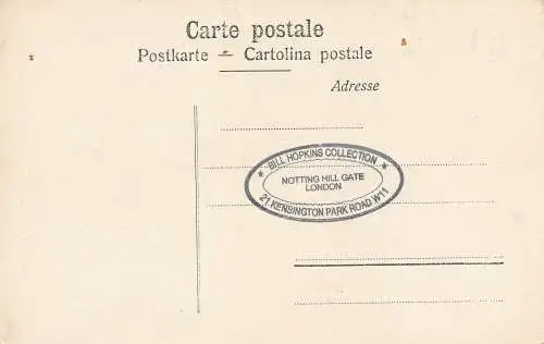 PC43130 Edelweiss. Leontopodium alpinum. Nr. 9666. B. Hopkins