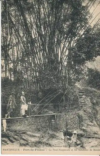 PC39415 Martinique. Fort de France. Hängebrücke und Mostbambus