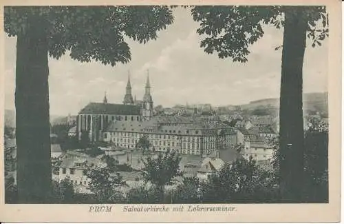 PC41005 Pflaume. Salvatorkirche mit Lehrerseminar. B. Hopkins