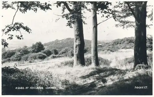 PC44561 in Newlands Corner. Judges Ltd. Nr. 25586