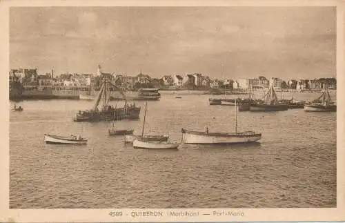PC41115 Quiberon. Morbihan. Port Maria. Störche. 1951. B. Hopkins