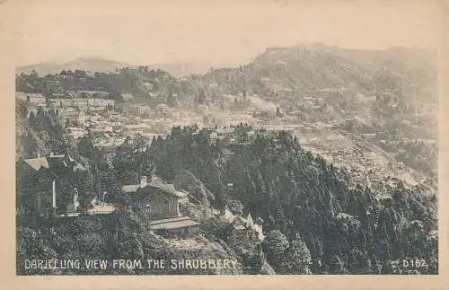 PC43620 Darjeeling. Blick vom Strauch. D. Makropolo. B. Hopkins