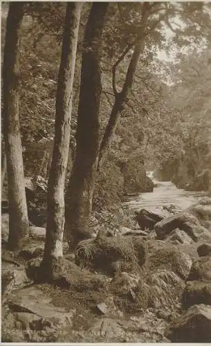 PC44570 Bettws Y Coed. Fairy Glen. Judges Ltd. Nr. 5495