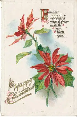 PC45214 Grußkarte. Frohe Weihnachten. Tuck. Der Weihnachtsstern. Nr. 506. 1910