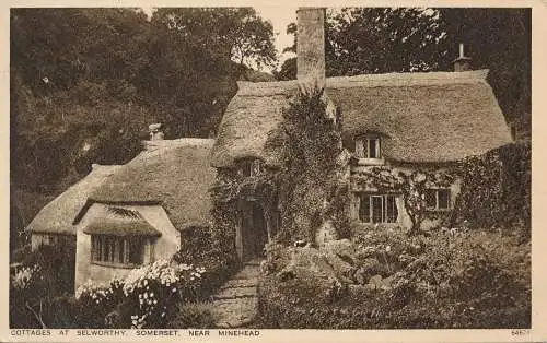 PC45507 Cottages in Selworthy. Somerset in der Nähe von Minehead. Photochrom. Nr. 64624. 193