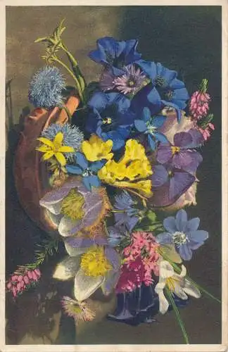 PC45697 Frühlingsblumen. Gyger. Nr. 1501. 1945