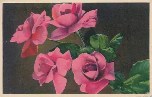 PC45862 Rosa. 1943