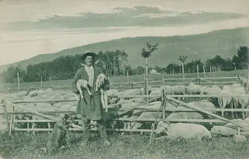 PC46767 alte Postkarte. Ein Mann und Schafe. B. Hopkins