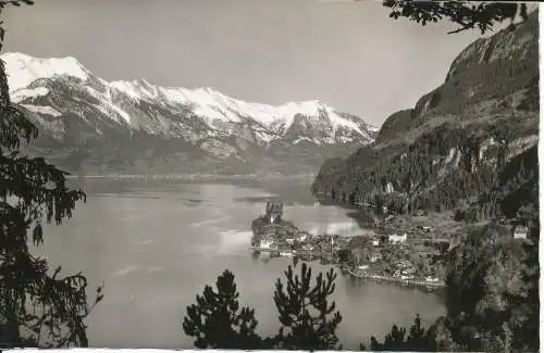 PC47228 Jseltwald am Brienzersee. Brienzerrothorn Kette. H. Stelnhauer. Nr. 2331