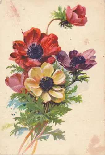 PC45990 alte Postkarte. Blumen. 1939