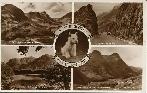 PC00186 A Wee Scotch. Frae Glencoe. Multi-View. Valentinstag. 1959. RP