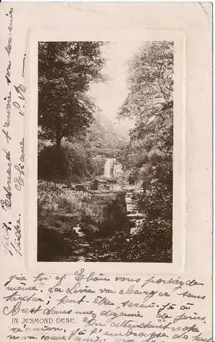 PC00114 In Jesmond Dene. 1910