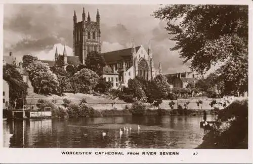 PC00449 Worcester Cathedral vom Fluss Severn. RP