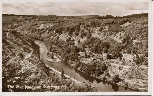 PC00463 Das Wye Valley bei Symonds Yat. 1952. RP