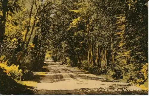 PC01567 Tennysons Lane. Haslemere. Frith