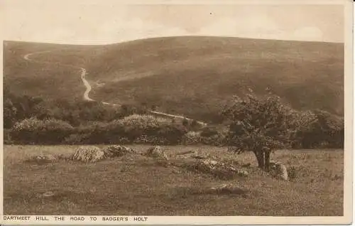 PC02046 Dartmeet Hill. Straße nach Badgers Holt. R.A. Serie