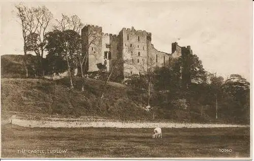 PC02398 Das Schloss. Ludlow. Postkarte