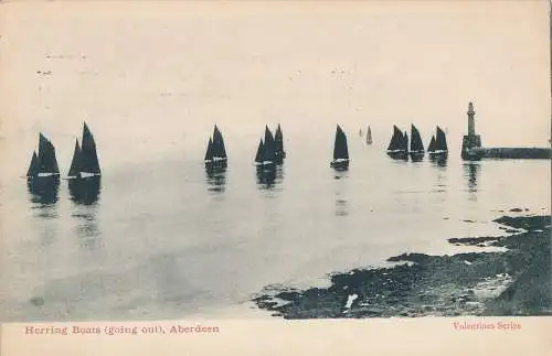 PC02574 Heringsboote gehen aus. Aberdeen. Valentinstag. 1909