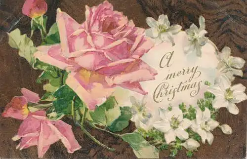 PC02494 Grußkarte. Frohe Weihnachten. Rosen. Stewart und Woolf. 1907