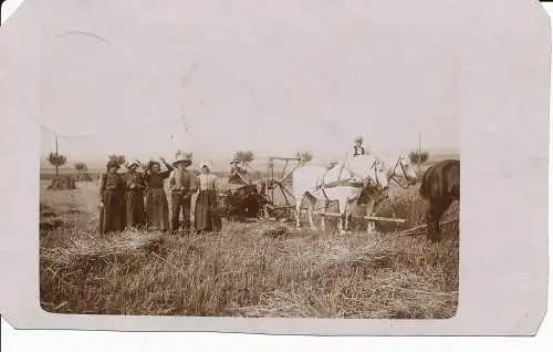 PC02919 Deutsche UVP Postkarte 1913. Landarbeiter