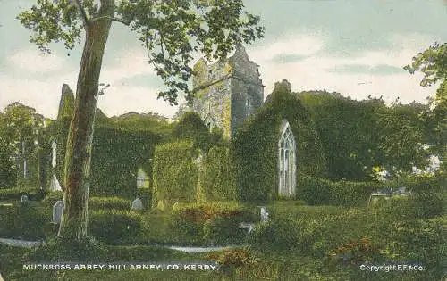 PC01890 Muckross Abbey. Killarney. Co. Kerry. G.D. und D. L. Der Stern