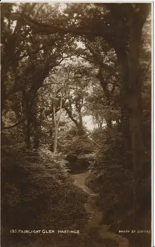 PC00967 Fairlight Glen. Hastings. Richter 195