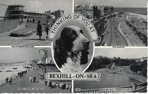 PC02326 Bexhill on Sea. Multi View Postkarte