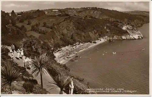 PC04943 Oddicombe Beach von Babbacombe Downs. Torquay. RP